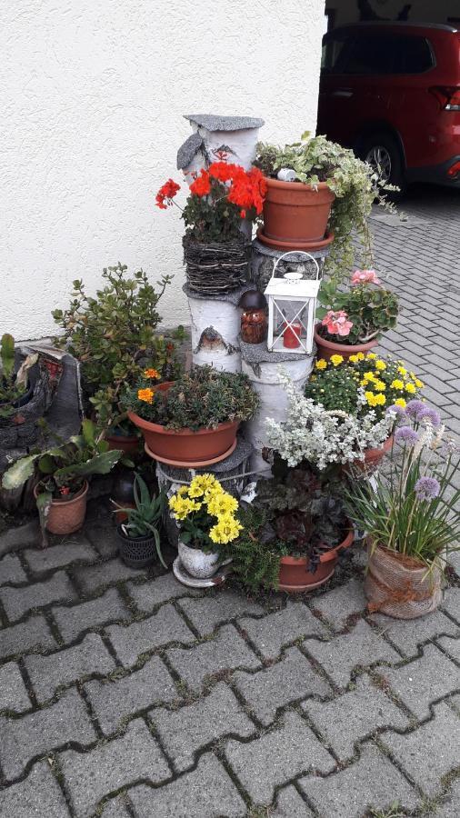 Sommerfrische 汉特赫姆斯多夫 外观 照片
